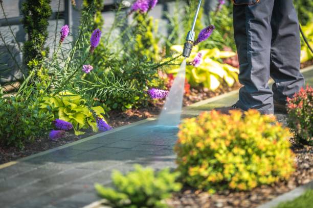 Reliable Ludlow, KY  Pressure Washing Services Solutions