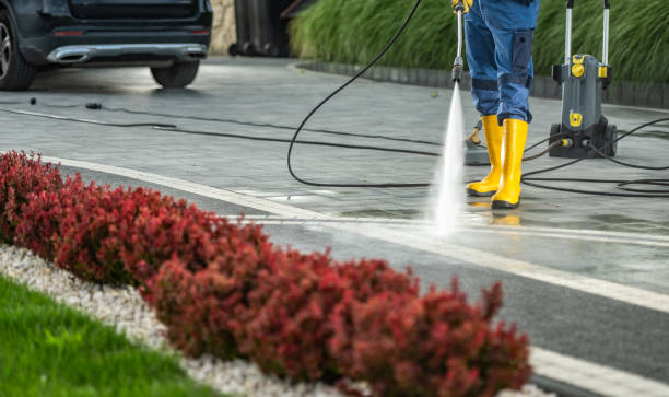 Best Sidewalk and Walkway Cleaning  in Ludlow, KY